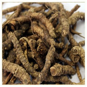 Kutki (Little Millet) – A Nutritious Ancient Grain