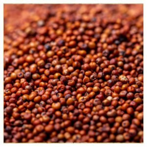Ragi – Nutrient-Rich Finger Millet for Health & Wellness